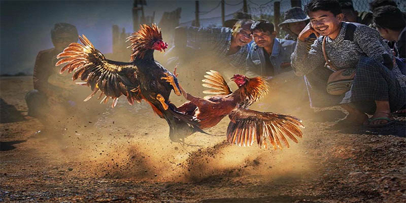 68 game đăng nhập roulette số 1