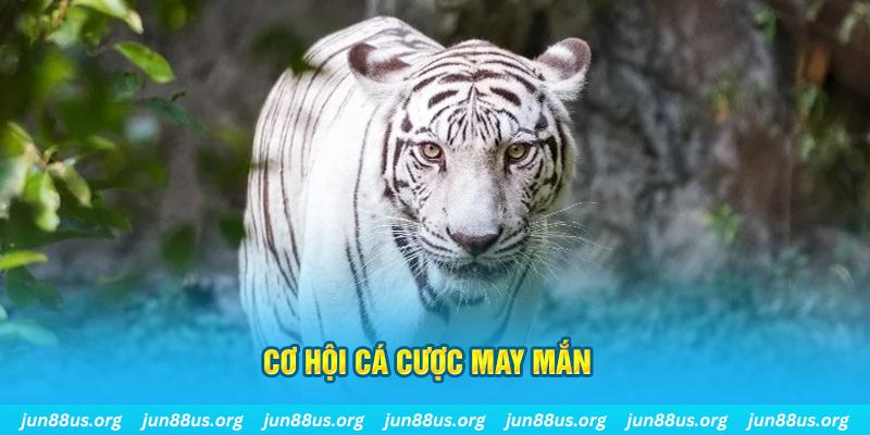68 game hết slot la gì