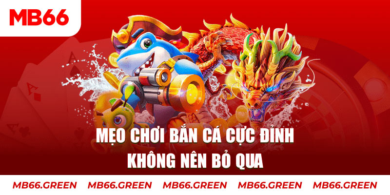68 game casino ở đâu