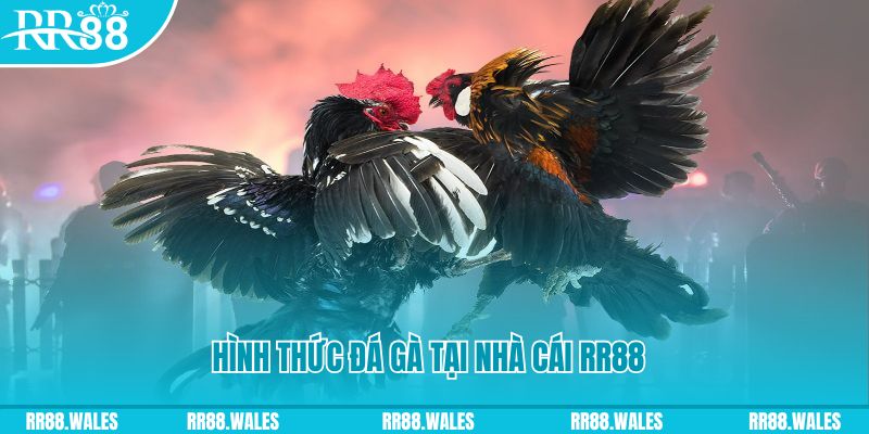 68 game PS Điện Tử