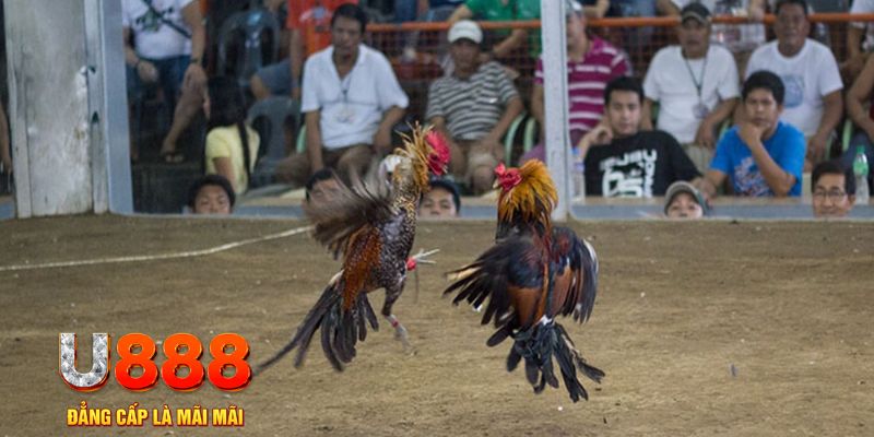 68 game đăng nhập mậu binh online