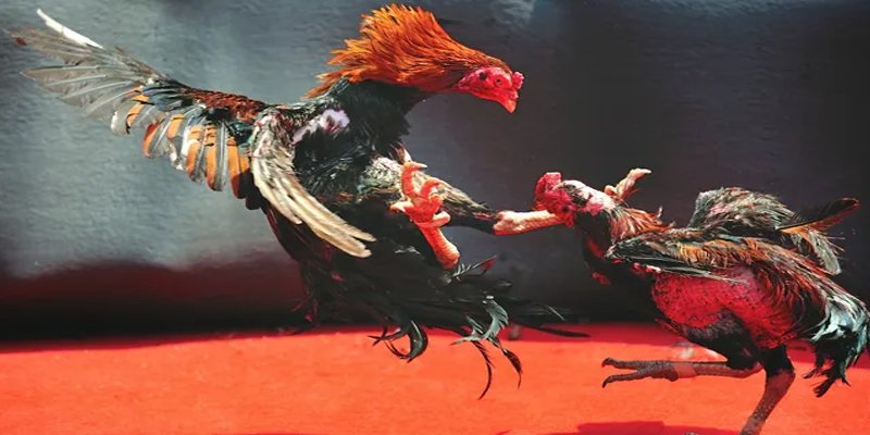 68 game BG Bắn cá