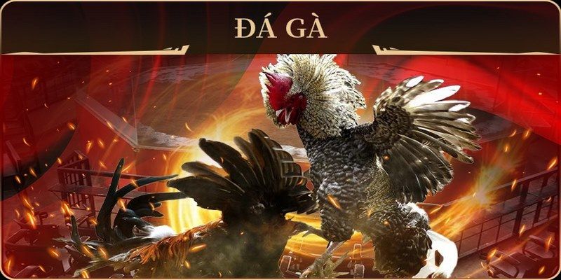 68 game no hu doi thuong ai