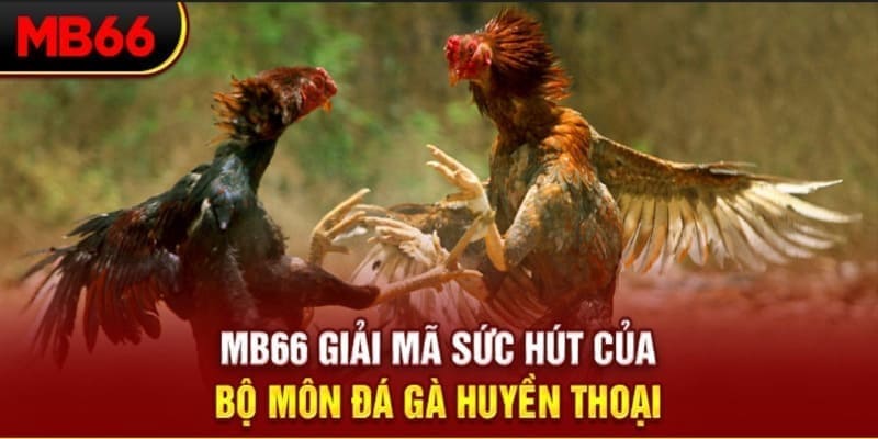 68 game Phi Đội Ưu Tú