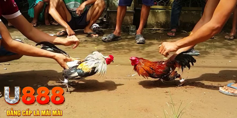 68 game đăng nhập mậu binh rút tiền nhanh