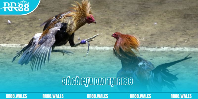 68 game đăng nhập nổ hũ dễ thắng